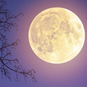 Meet your Posher, A.